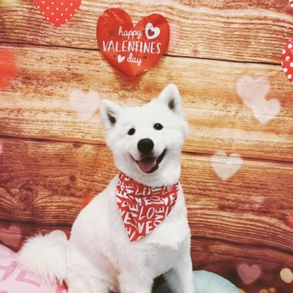 Meet your Posher, Seema - Picture 9 of 14